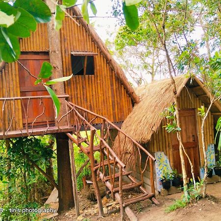 Sanctuaria Treehouses Busuanga Exterior foto