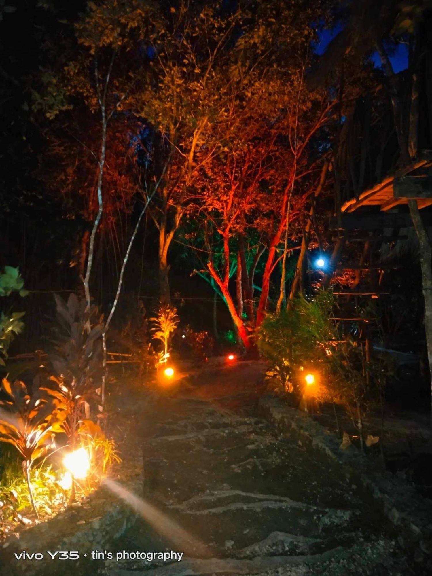 Sanctuaria Treehouses Busuanga Exterior foto