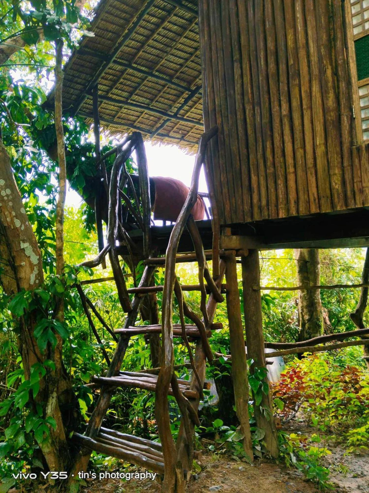 Sanctuaria Treehouses Busuanga Exterior foto