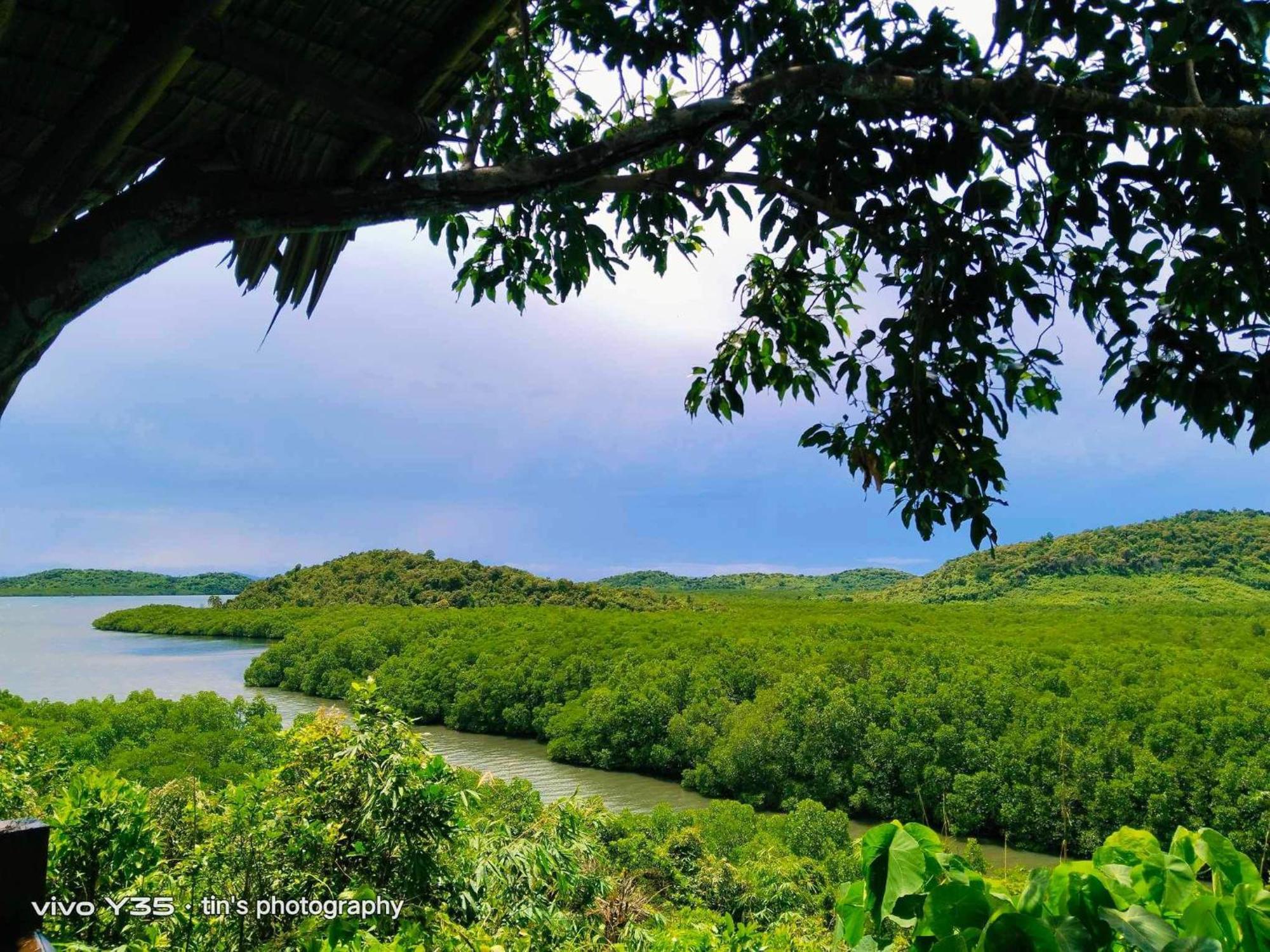 Sanctuaria Treehouses Busuanga Exterior foto