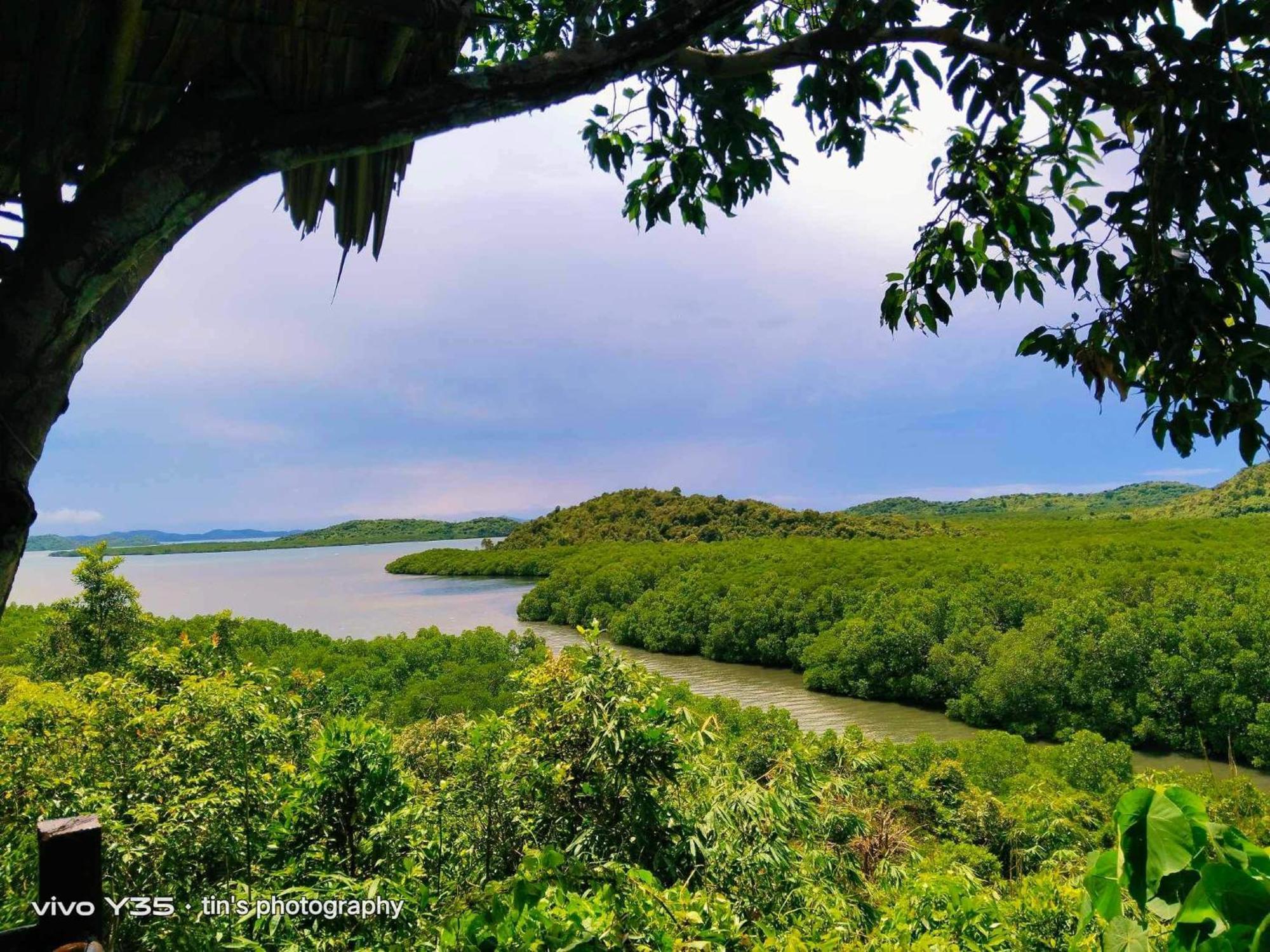 Sanctuaria Treehouses Busuanga Exterior foto