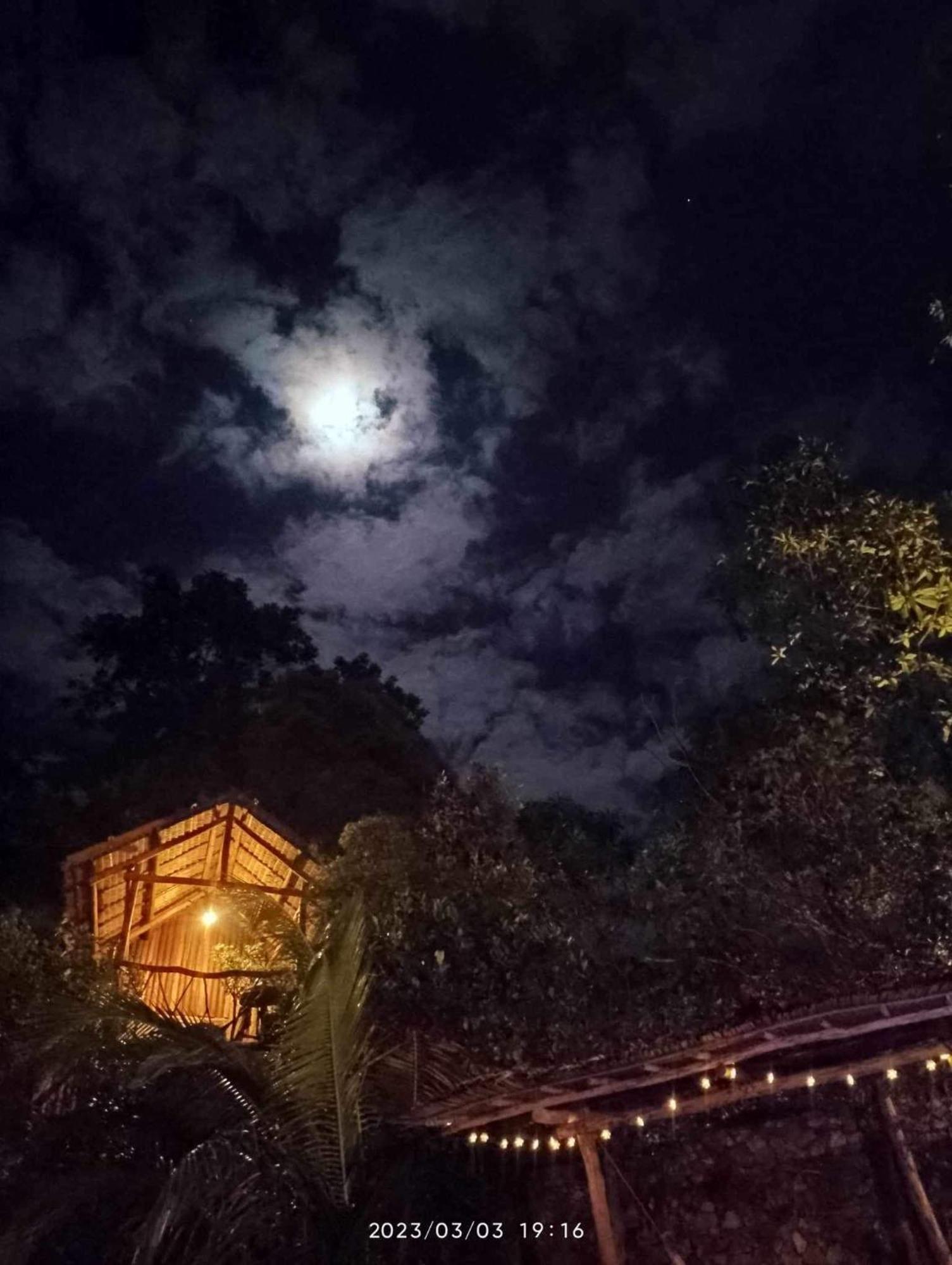 Sanctuaria Treehouses Busuanga Exterior foto