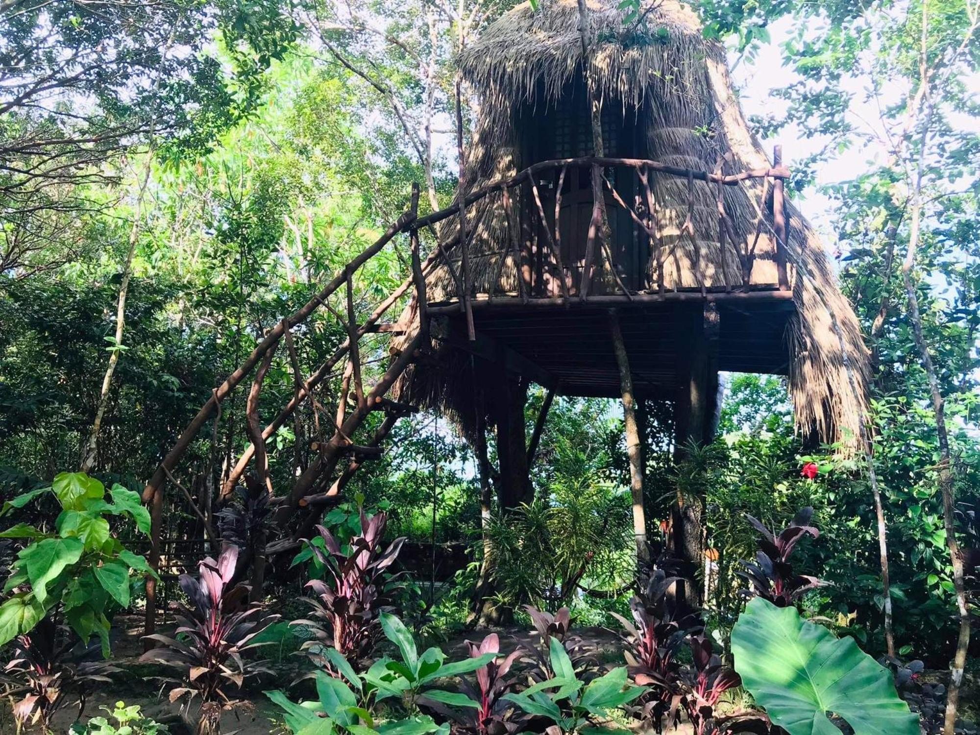 Sanctuaria Treehouses Busuanga Exterior foto
